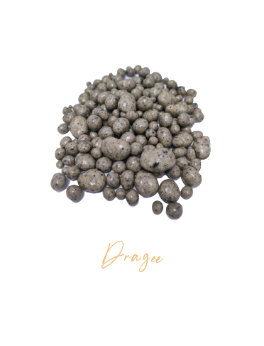 rizo cashew oreo